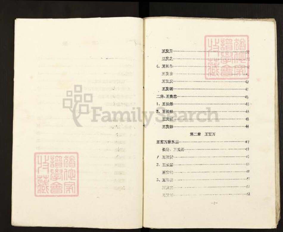 四川省遂宁市射洪市沱牌镇王氏族谱-王氏族谱.pdf电子版预览图5