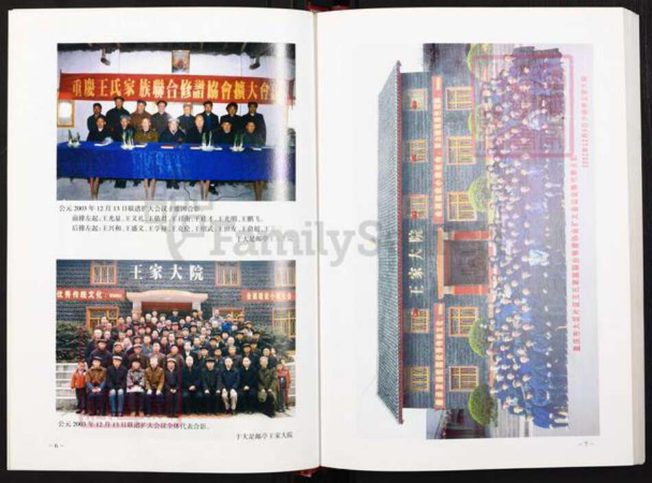 重庆市大足区王氏族谱-重庆太原王氏通谱.pdf电子版预览图5