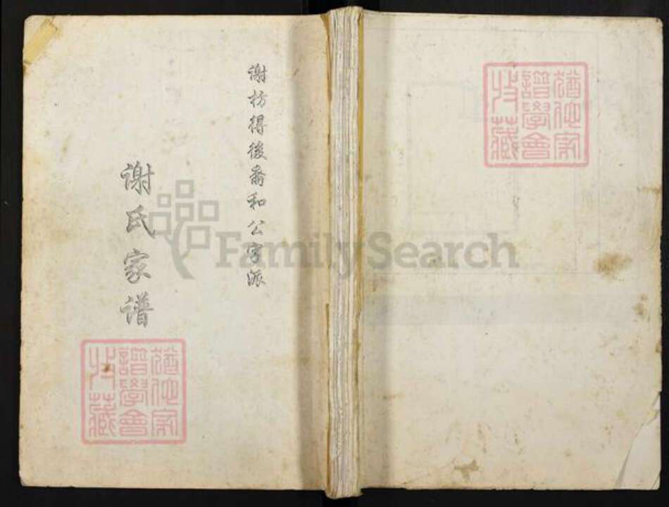 四川省成都市大邑县重庆市万州区重庆市合川区谢氏族谱-谢氏家谱之谢枋得后裔和公字派.pdf电子版缩略图