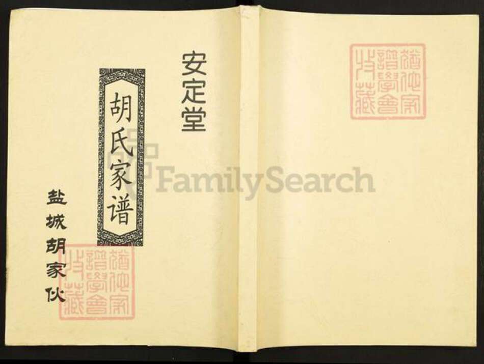 江苏省盐城市亭湖区胡氏安定堂族谱-胡氏家谱.pdf电子版缩略图