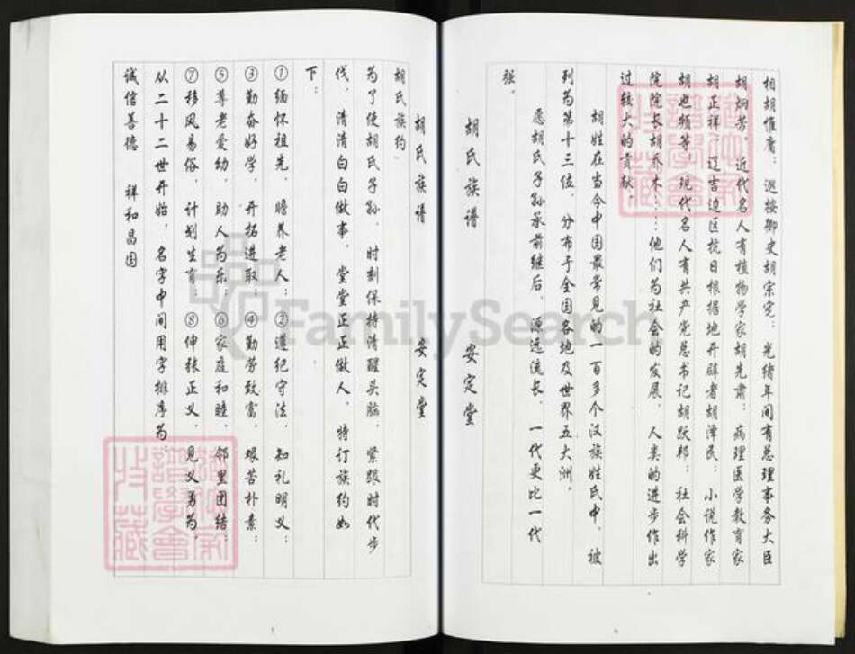 江苏省盐城市亭湖区胡氏安定堂族谱-胡氏家谱.pdf电子版预览图5