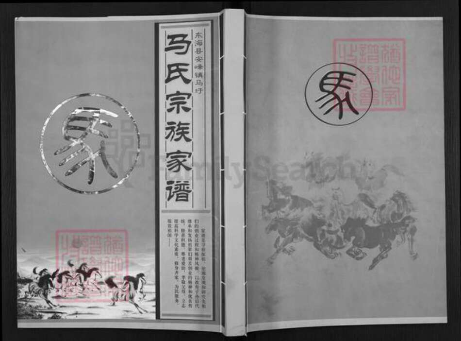 江苏省连云港市东海县马氏伏波堂族谱-马氏宗族家谱.pdf电子版缩略图