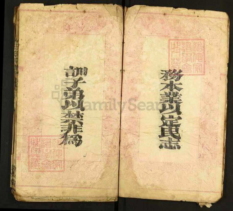 湖北省黄冈市麻城市王氏孝友堂族谱-王氏宗谱.pdf电子版预览图5