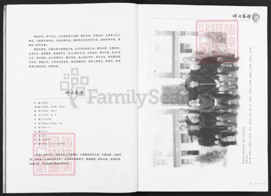 陕西省榆林子洲县师氏授琴堂族谱-师氏家谱.pdf电子版预览图3