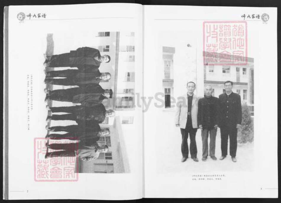 陕西省榆林子洲县师氏授琴堂族谱-师氏家谱.pdf电子版预览图4