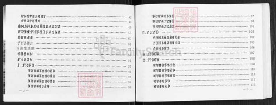 四川省攀枝花市罗洪氏族谱-罗洪家谱修订本.pdf电子版预览图2