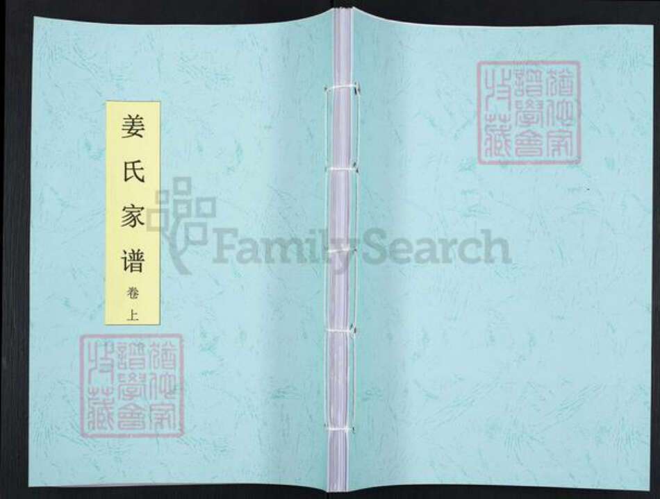 江苏省徐州市沛县杨屯镇姜氏渭水堂族谱-姜氏家谱.pdf电子版缩略图