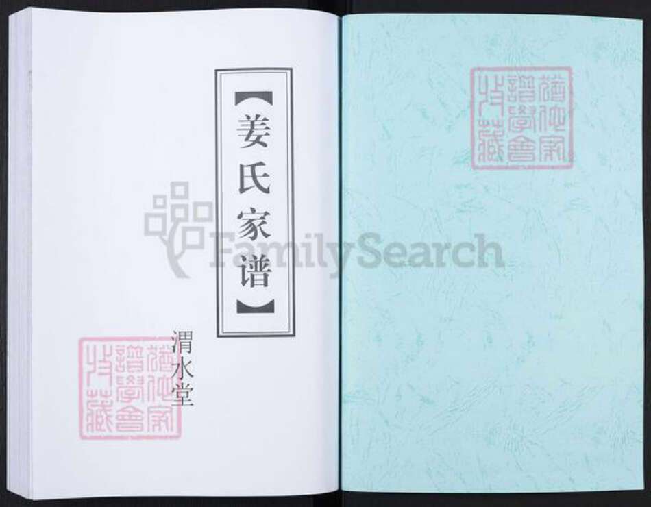 江苏省徐州市沛县杨屯镇姜氏渭水堂族谱-姜氏家谱.pdf电子版预览图1