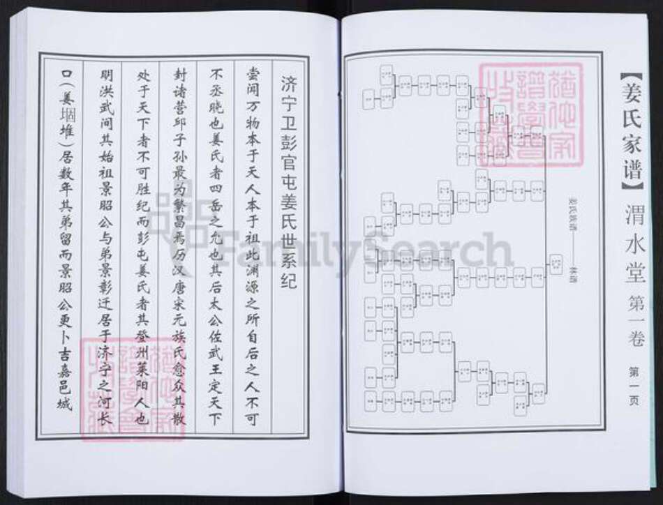 江苏省徐州市沛县杨屯镇姜氏渭水堂族谱-姜氏家谱.pdf电子版预览图5
