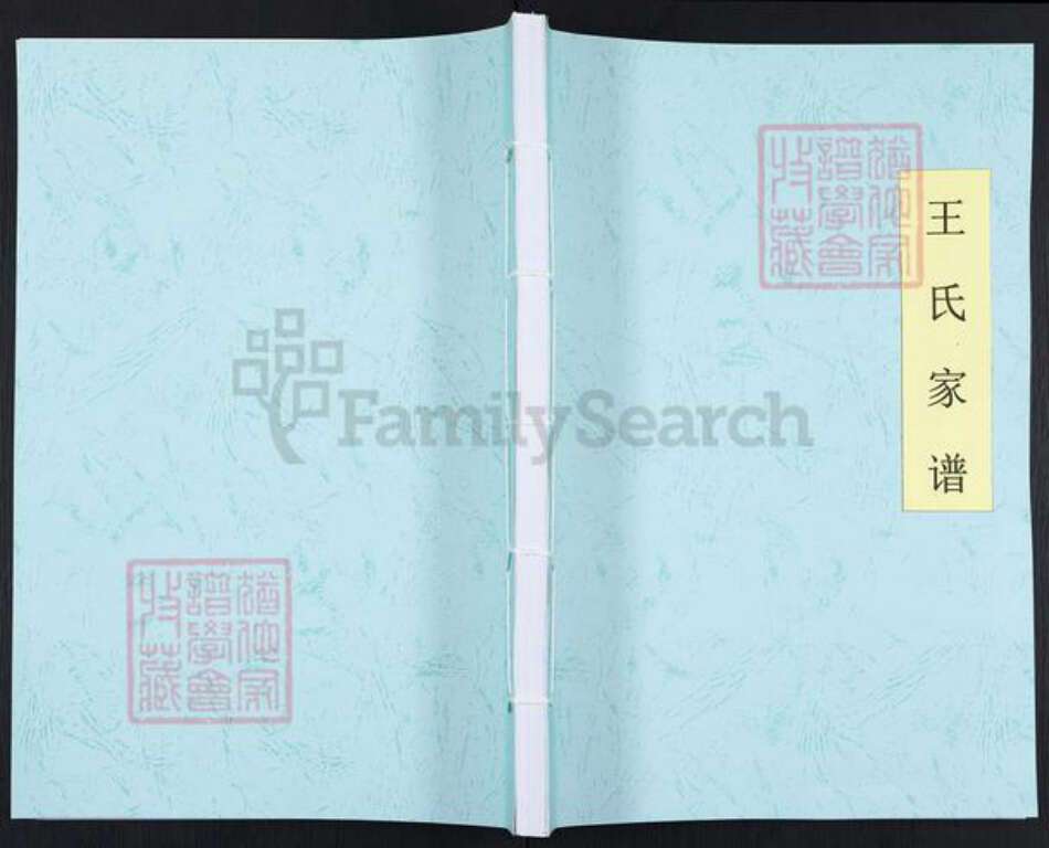 河南省南阳市内乡县大桥乡王氏族谱-王氏家谱.pdf电子版缩略图