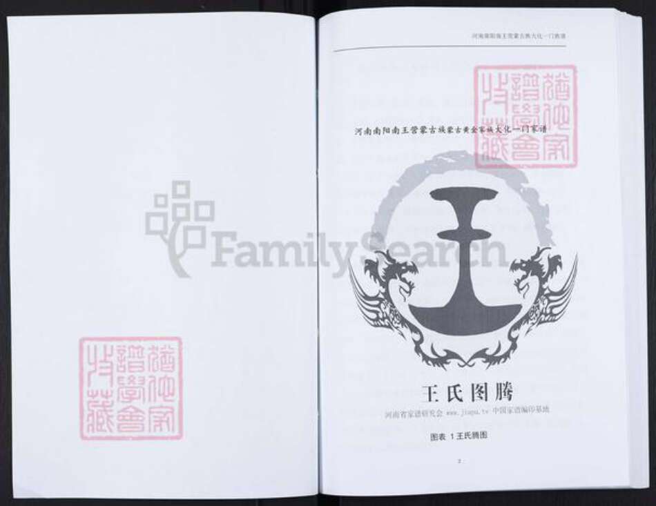 河南省南阳市内乡县大桥乡王氏族谱-王氏家谱.pdf电子版预览图2