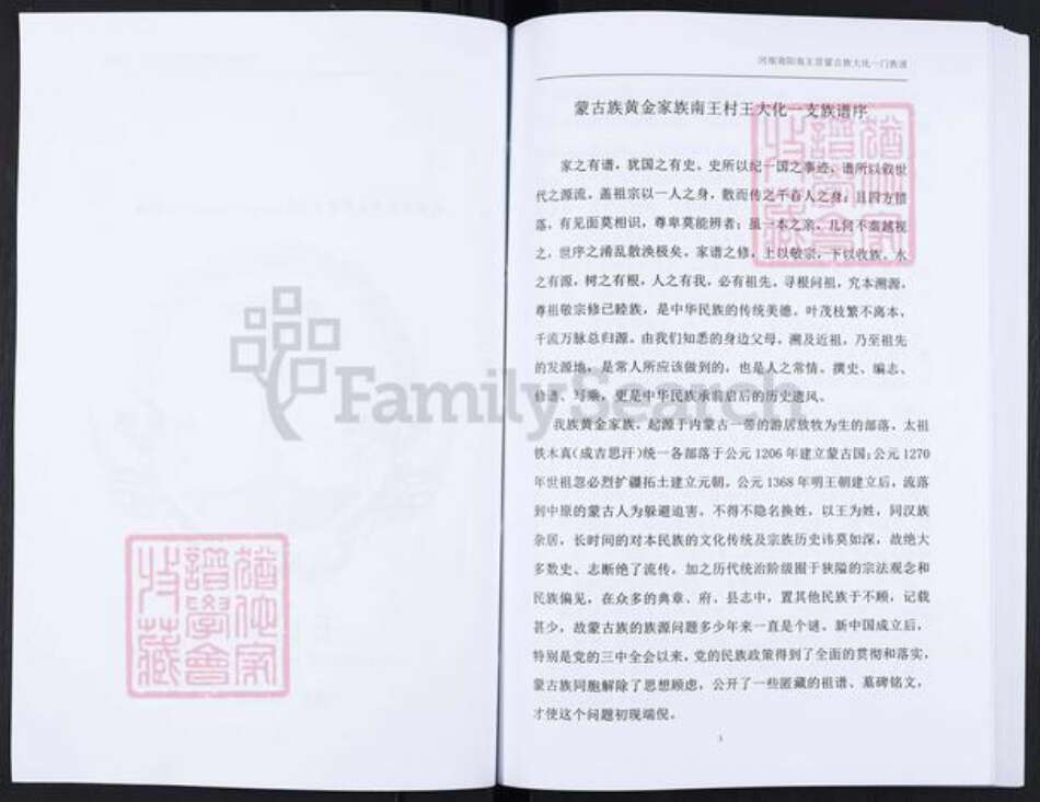 河南省南阳市内乡县大桥乡王氏族谱-王氏家谱.pdf电子版预览图3