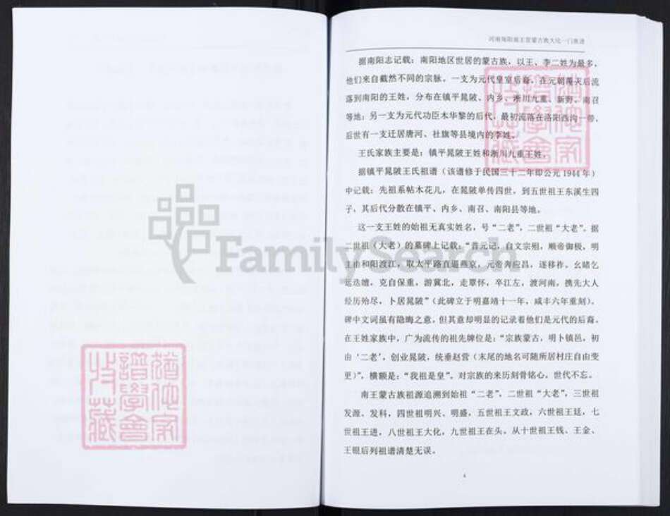 河南省南阳市内乡县大桥乡王氏族谱-王氏家谱.pdf电子版预览图4