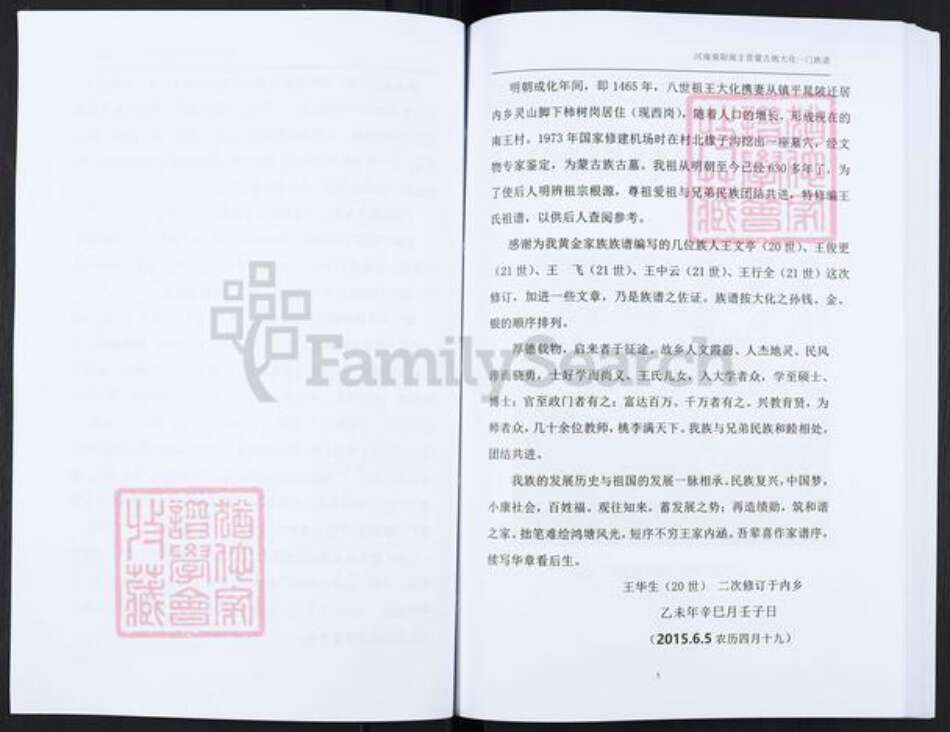 河南省南阳市内乡县大桥乡王氏族谱-王氏家谱.pdf电子版预览图5