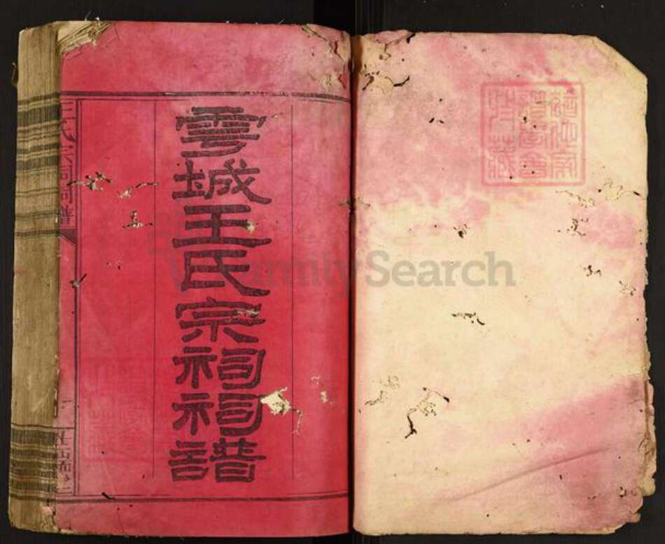 江西省赣州市于都县王氏族谱-王氏宗祠祠谱.pdf电子版预览图1