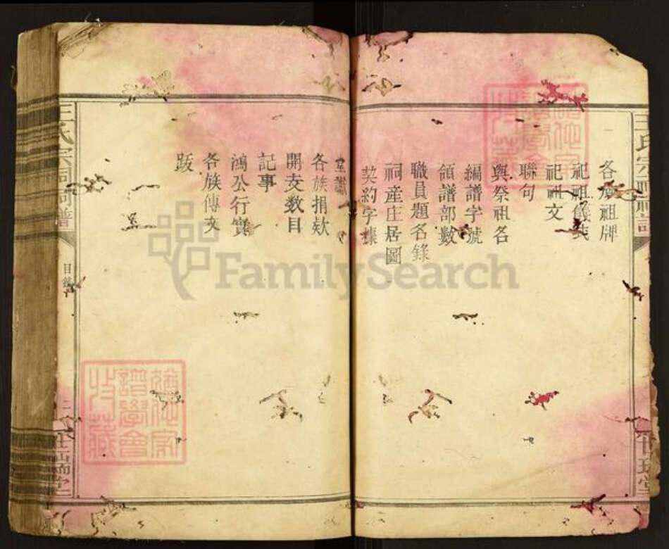 江西省赣州市于都县王氏族谱-王氏宗祠祠谱.pdf电子版预览图3