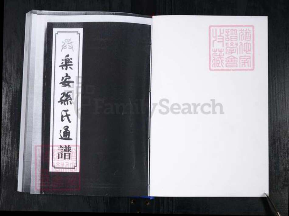 山东省滨州市惠民县孙氏族谱-乐安孙氏通谱.pdf电子版预览图1