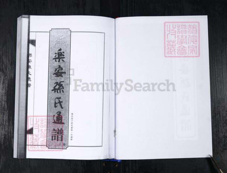 山东省滨州市惠民县孙氏族谱-乐安孙氏通谱.pdf电子版预览图2