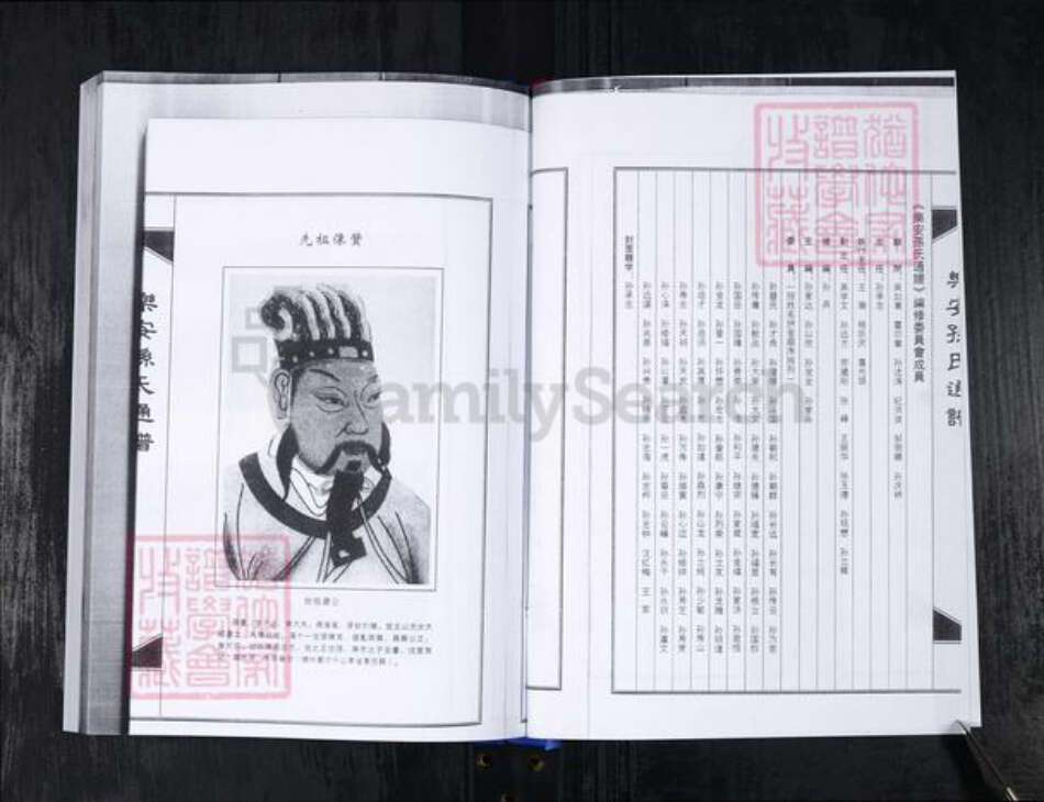 山东省滨州市惠民县孙氏族谱-乐安孙氏通谱.pdf电子版预览图3