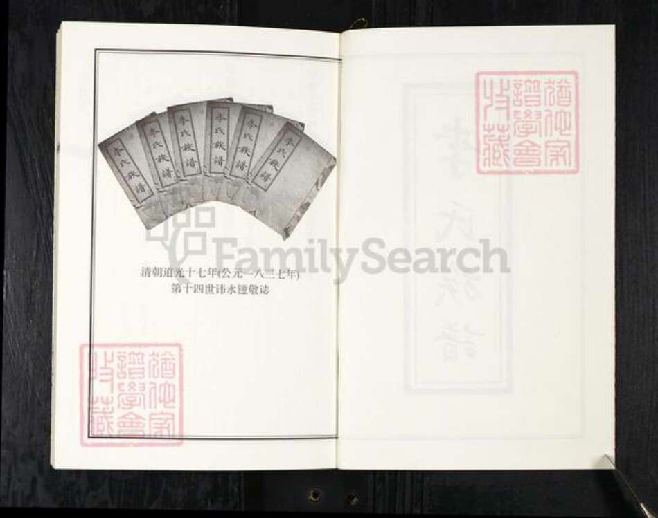 山东省青岛市即墨区李氏族谱-李氏族谱.pdf电子版预览图2