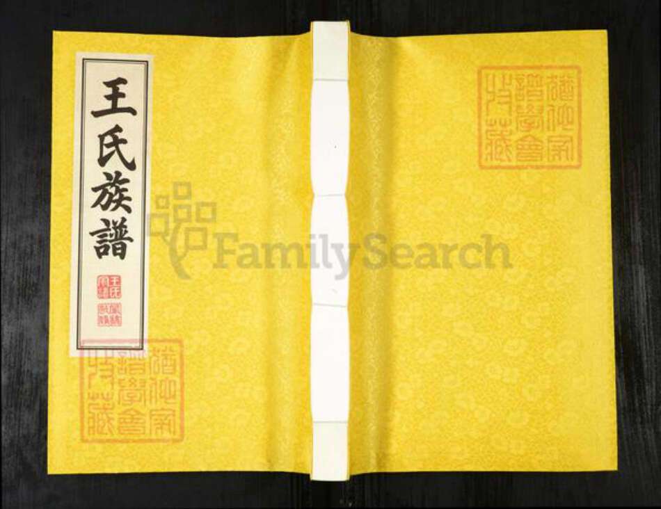 山东省青岛市平度市南村镇王氏五福堂族谱-王氏族谱.pdf电子版缩略图