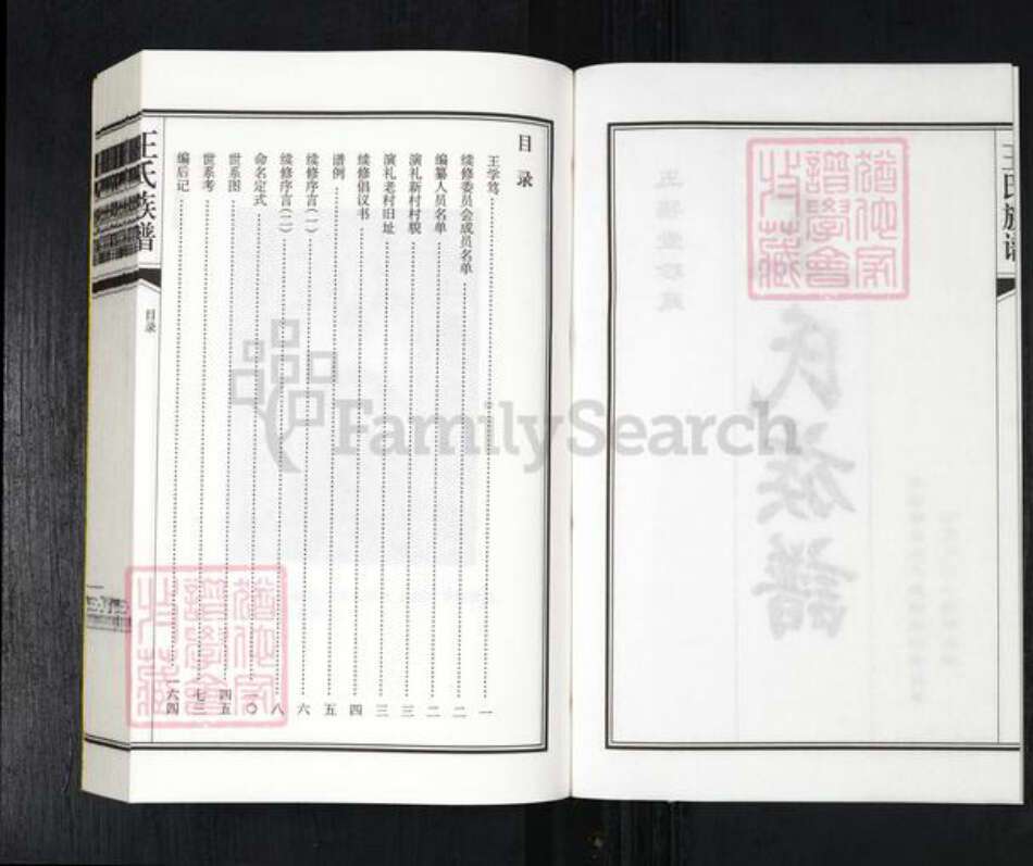 山东省青岛市平度市南村镇王氏五福堂族谱-王氏族谱.pdf电子版预览图2