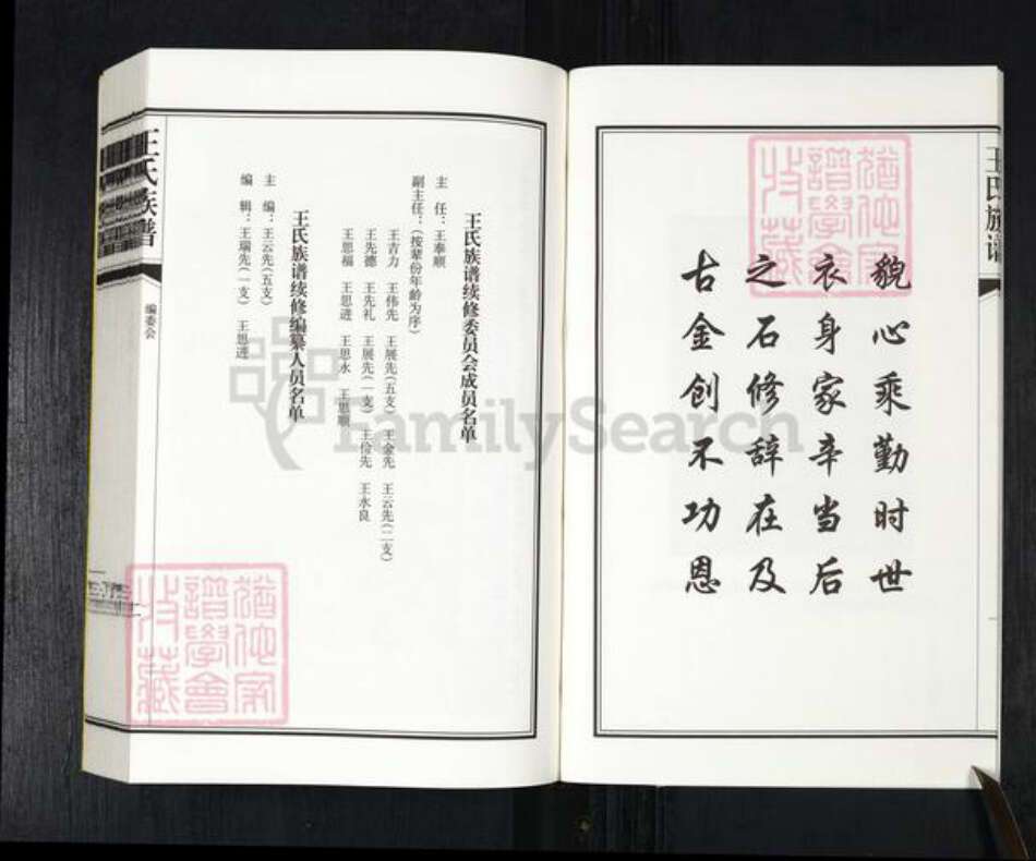 山东省青岛市平度市南村镇王氏五福堂族谱-王氏族谱.pdf电子版预览图4