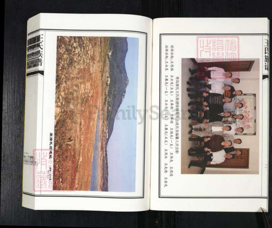 山东省青岛市平度市南村镇王氏五福堂族谱-王氏族谱.pdf电子版预览图5