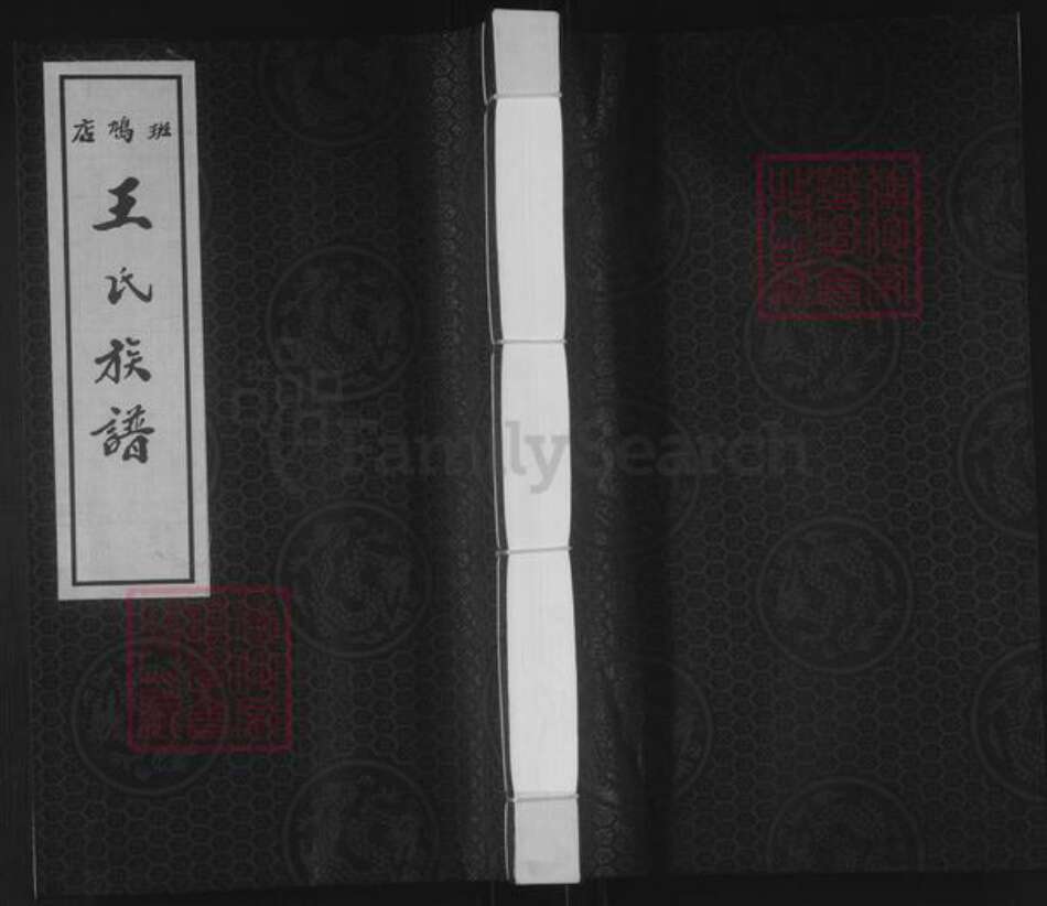 山东省泰安市东平县王氏族谱-斑鸠店王氏族谱.pdf电子版缩略图