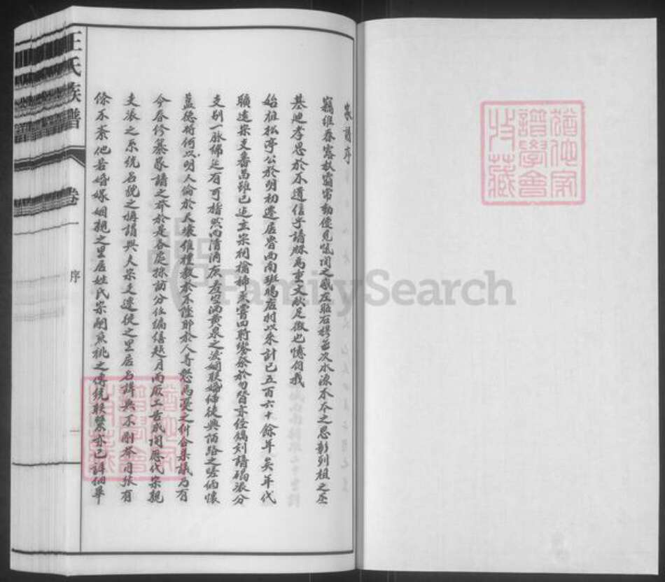 山东省泰安市东平县王氏族谱-斑鸠店王氏族谱.pdf电子版预览图1