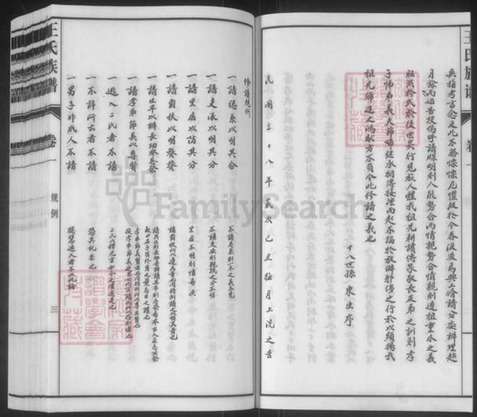 山东省泰安市东平县王氏族谱-斑鸠店王氏族谱.pdf电子版预览图3