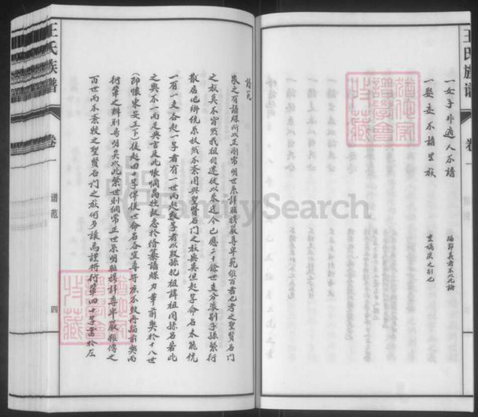 山东省泰安市东平县王氏族谱-斑鸠店王氏族谱.pdf电子版预览图4