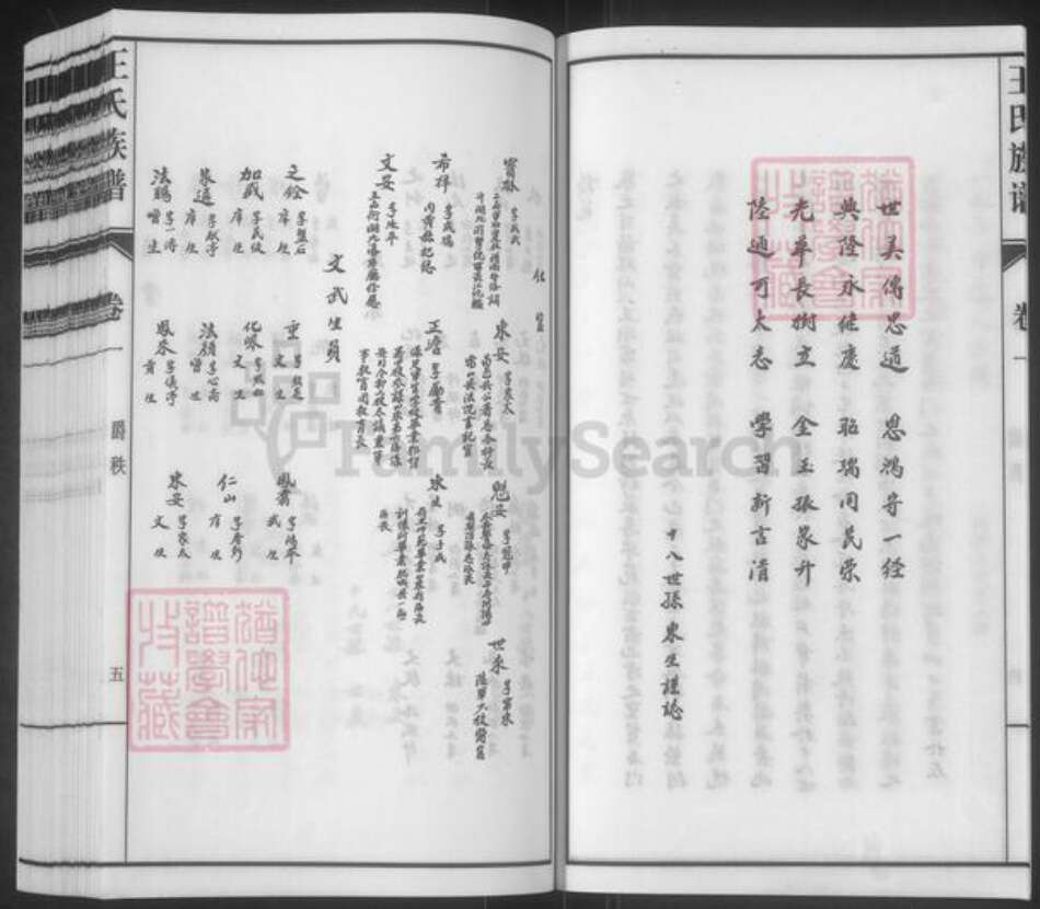 山东省泰安市东平县王氏族谱-斑鸠店王氏族谱.pdf电子版预览图5