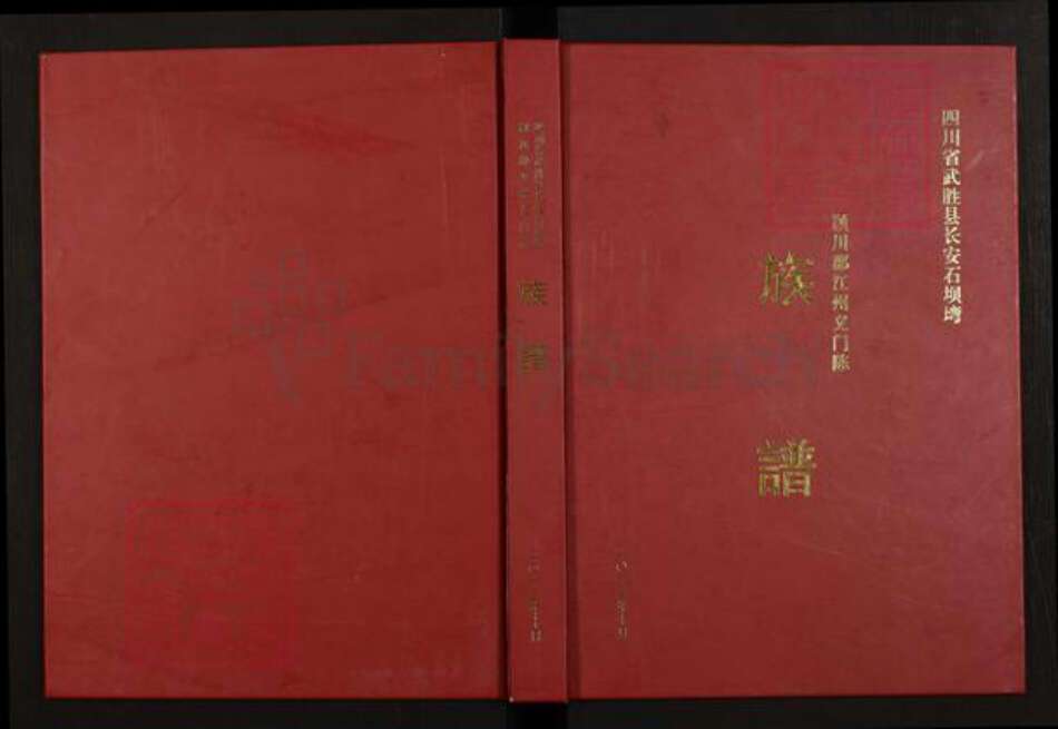 四川省广安市武胜县陈氏族谱-颍川郡江州义门陈族谱.pdf电子版缩略图