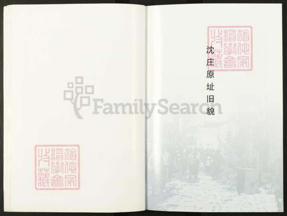河南省郑州市宋氏族谱-沈庄村志.家谱[不分卷].pdf电子版预览图5