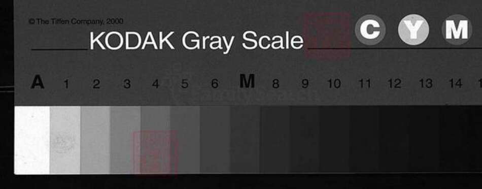 福建省南平市崇安县周氏族谱-周氏宗谱 [残卷].pdf电子版缩略图