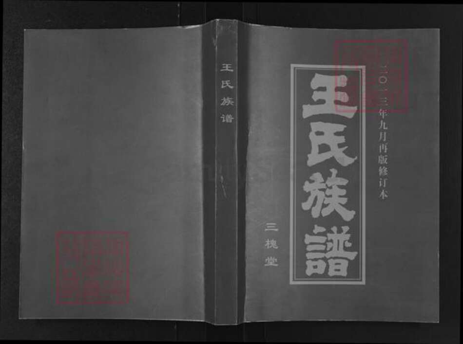 江苏省徐州市新沂市王氏三槐堂族谱-王氏族谱.pdf电子版缩略图