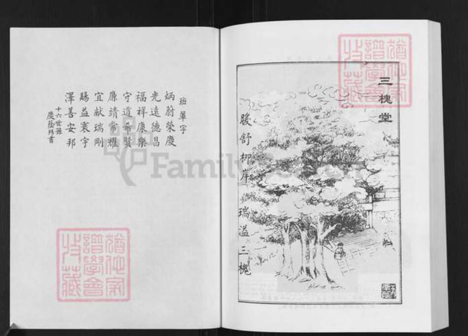 江苏省徐州市新沂市王氏三槐堂族谱-王氏族谱.pdf电子版预览图3