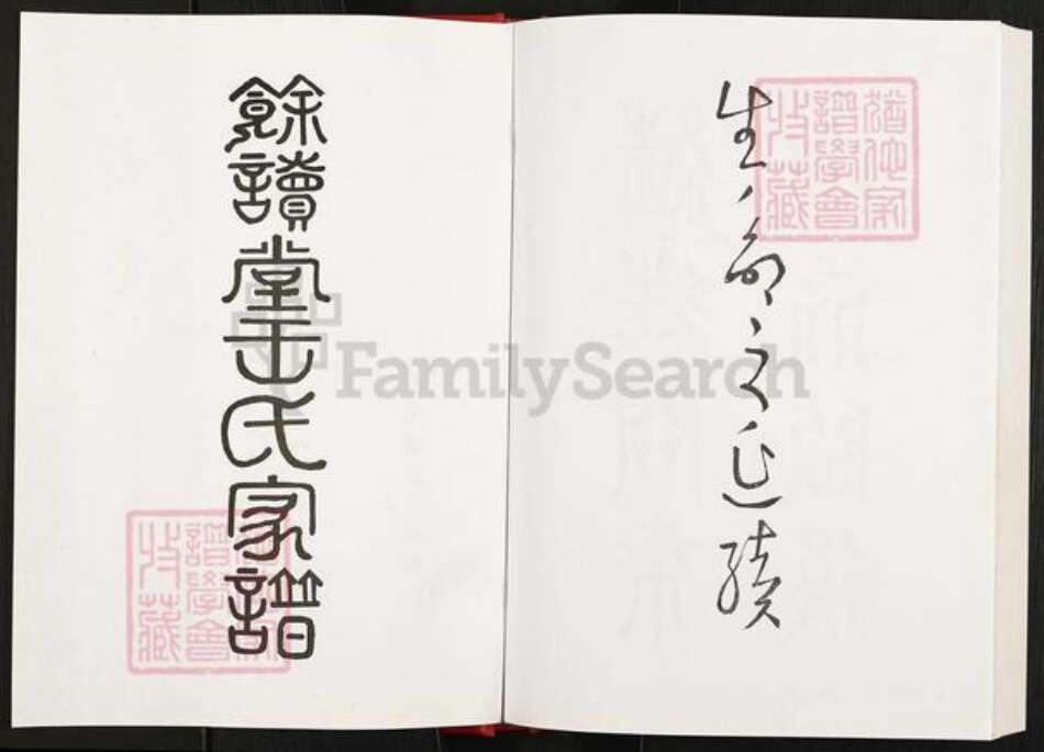 安徽省淮南市凤台县杨村镇王氏余读堂族谱-王氏家谱.pdf电子版预览图2