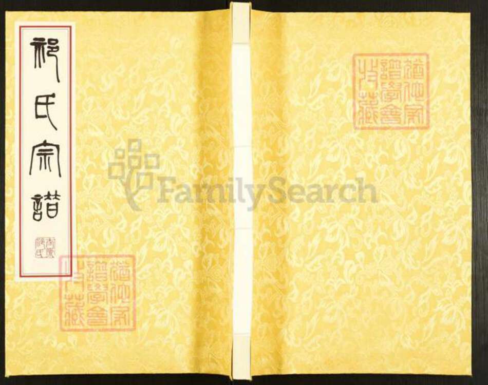 江苏省盐城市亭湖区新兴镇祁氏举贤堂族谱-祁氏宗谱.盐城新兴支系谱.pdf电子版缩略图