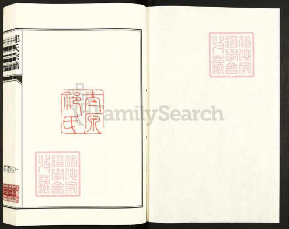 江苏省盐城市亭湖区新兴镇祁氏举贤堂族谱-祁氏宗谱.盐城新兴支系谱.pdf电子版预览图1