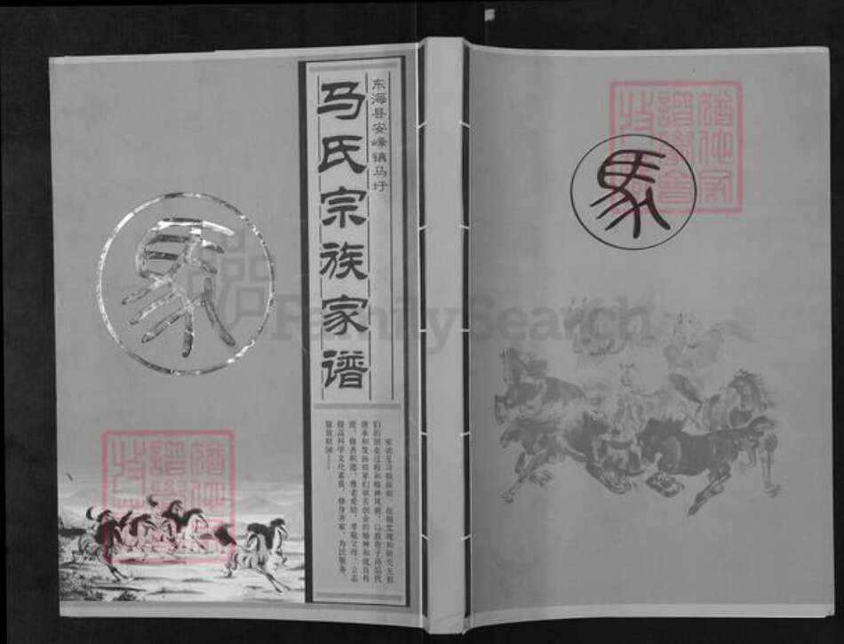 江苏省连云港市东海县马氏伏波堂族谱-马氏宗族家谱.pdf电子版缩略图