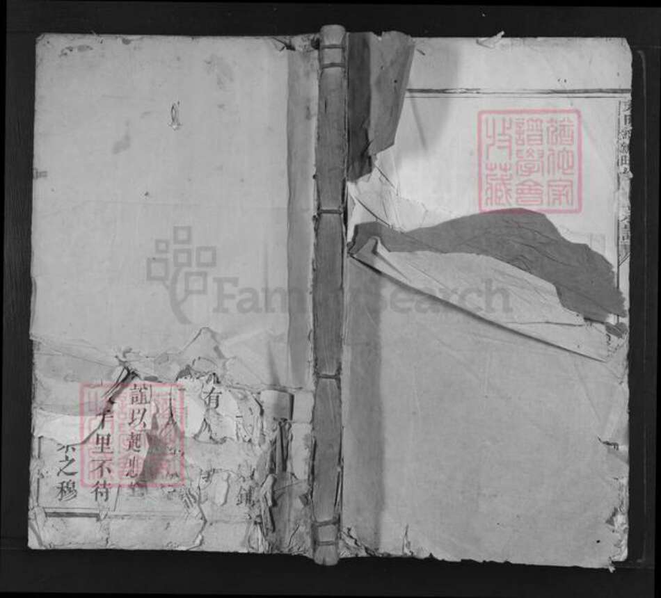 湖南省永州市江永县张氏族谱-永明四十九都新田坑张氏宗谱.pdf电子版缩略图