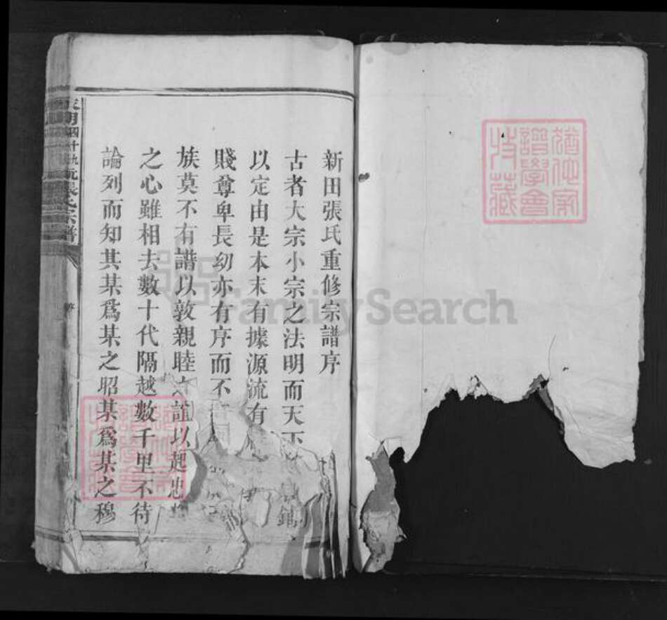 湖南省永州市江永县张氏族谱-永明四十九都新田坑张氏宗谱.pdf电子版预览图1