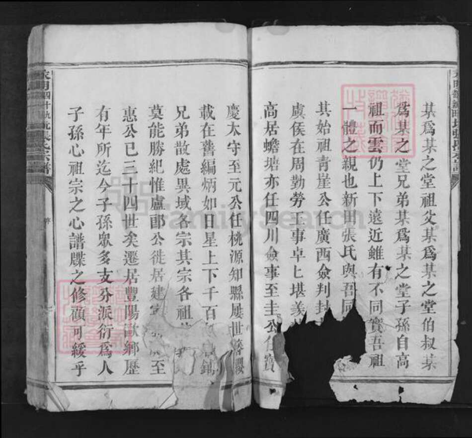 湖南省永州市江永县张氏族谱-永明四十九都新田坑张氏宗谱.pdf电子版预览图2