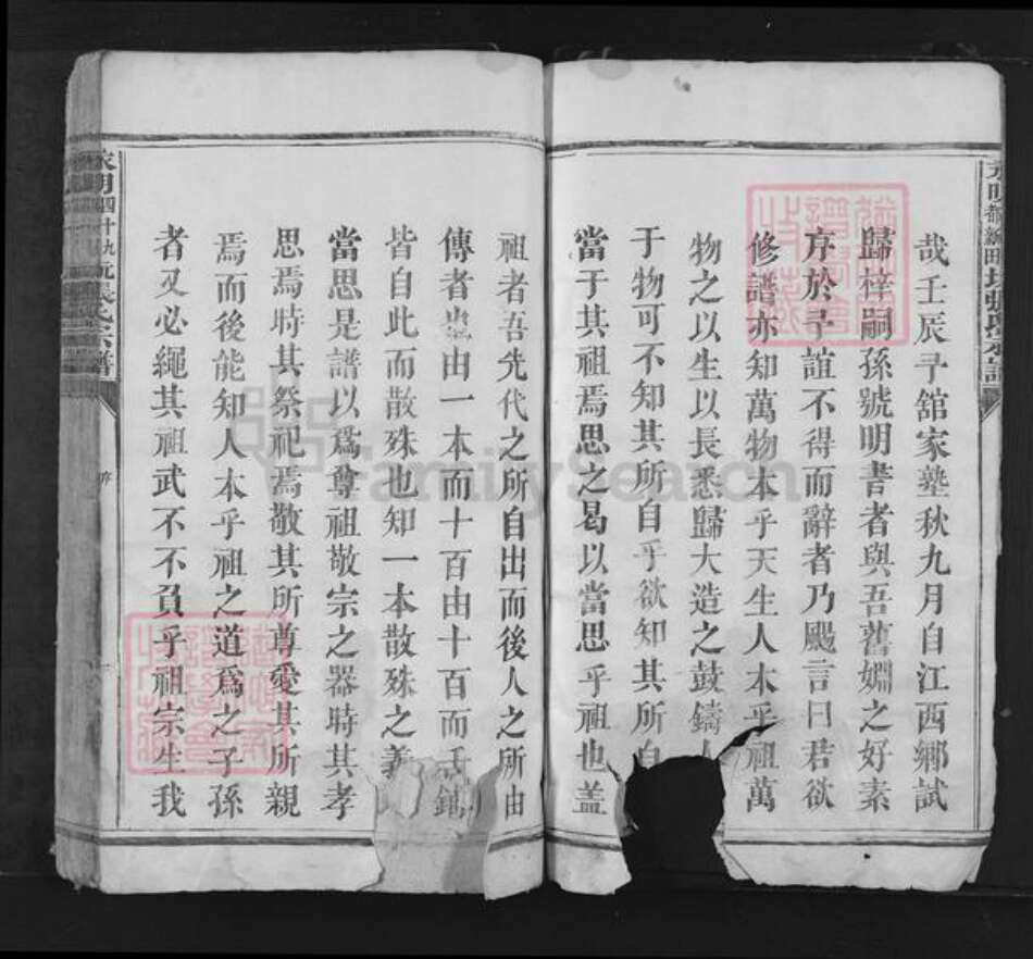 湖南省永州市江永县张氏族谱-永明四十九都新田坑张氏宗谱.pdf电子版预览图3