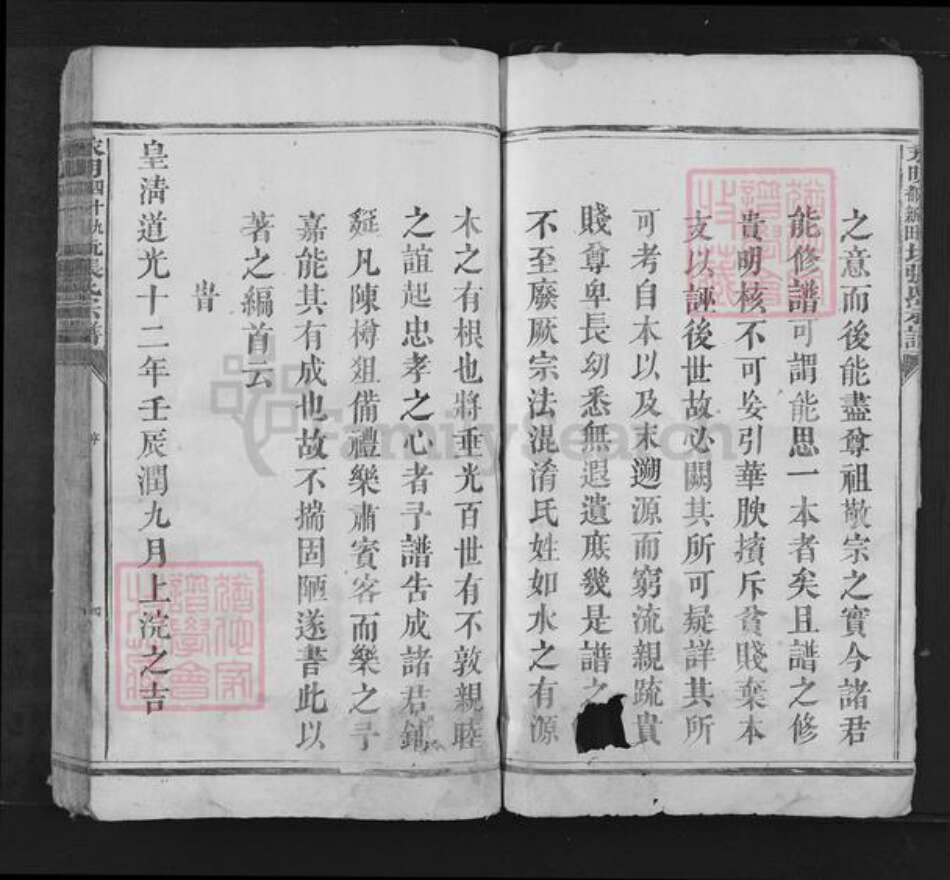 湖南省永州市江永县张氏族谱-永明四十九都新田坑张氏宗谱.pdf电子版预览图4