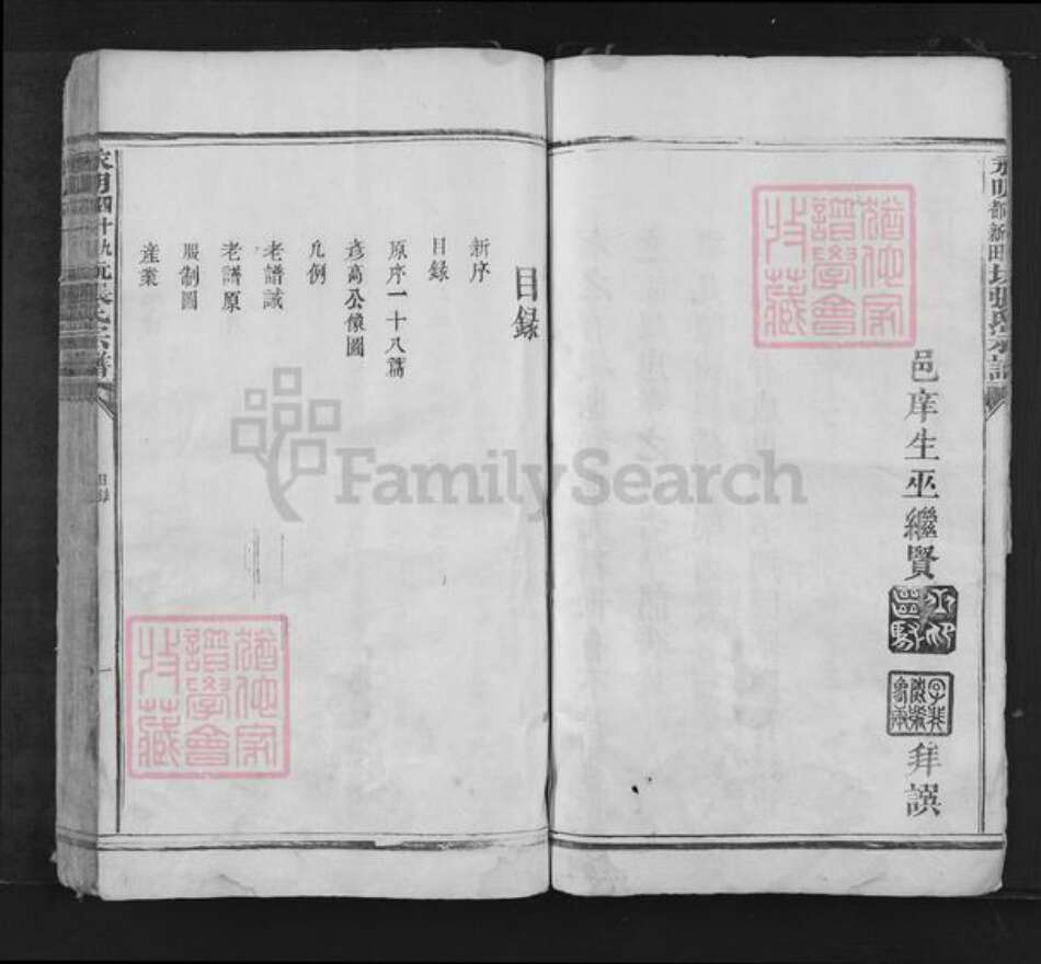 湖南省永州市江永县张氏族谱-永明四十九都新田坑张氏宗谱.pdf电子版预览图5