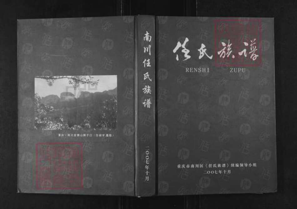 重庆市南川区任氏族谱-南川任氏族谱.pdf电子版缩略图