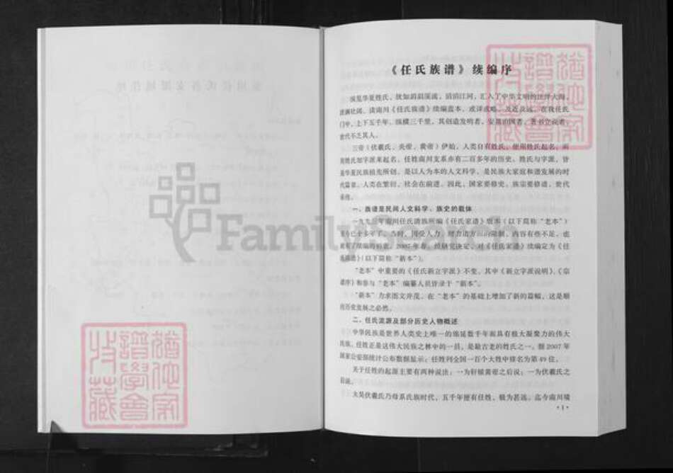 重庆市南川区任氏族谱-南川任氏族谱.pdf电子版预览图1